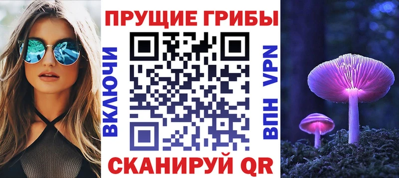 закладки Лыткарино Галлюциногенные грибы мухоморы