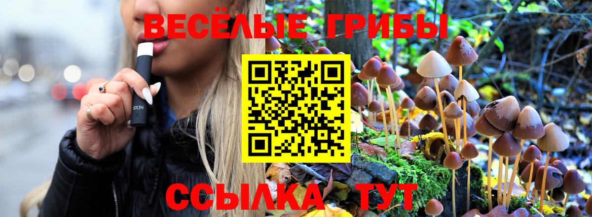 Псилоцибиновые грибы прущие грибы  Псилоцибиновые грибы MAGIC MUSHROOMS  Лыткарино  Вход с VPN 